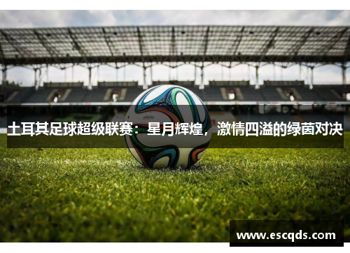 土耳其足球超级联赛:星月辉煌,激情四溢的绿茵对决 土耳其足球超级联赛:星月辉煌,激情四溢的绿茵对决