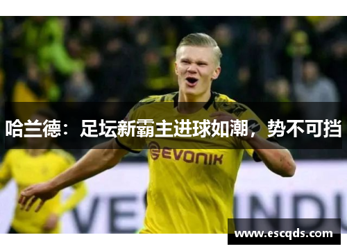 哈兰德:足坛新霸主进球如潮,势不可挡 哈兰德:足坛新霸主进球如潮,势不可挡