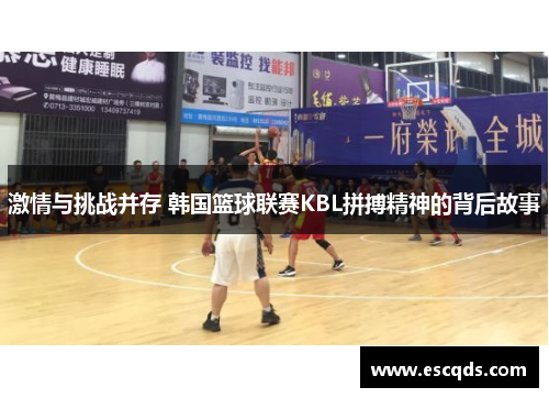 激情与挑战并存 韩国篮球联赛KBL拼搏精神的背后故事 激情与挑战并存 韩国篮球联赛KBL拼搏精神的背后故事