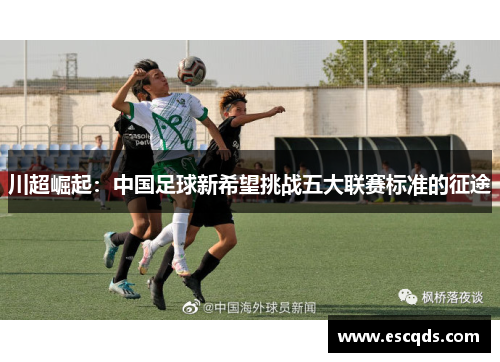 川超崛起:中国足球新希望挑战五大联赛标准的征途 川超崛起:中国足球新希望挑战五大联赛标准的征途